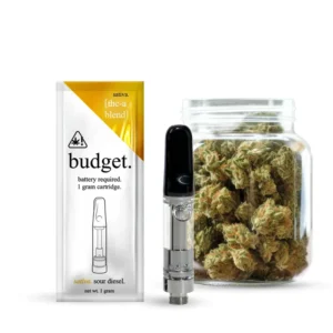 Budget Disposable