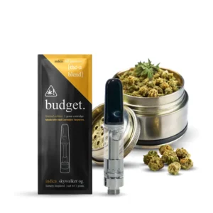 Budget Disposable