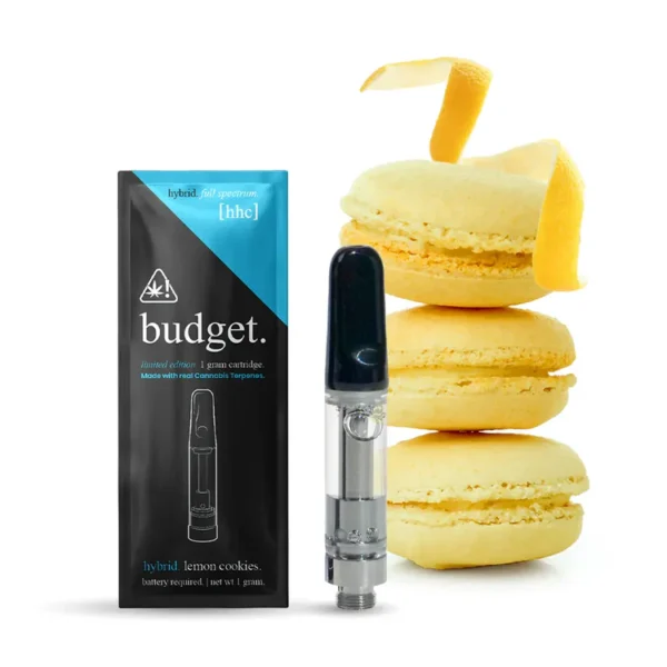 Budget Disposable