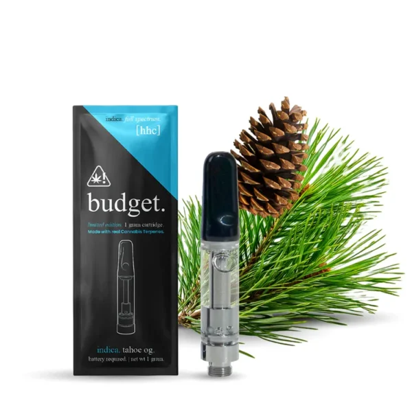 Budget Disposable