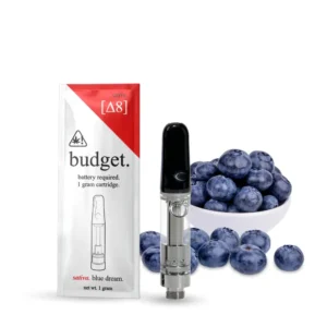 Budget Disposable