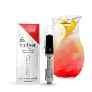 Budget Disposable