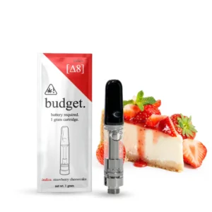 Budget Disposable