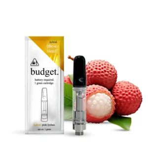 Budget Disposable