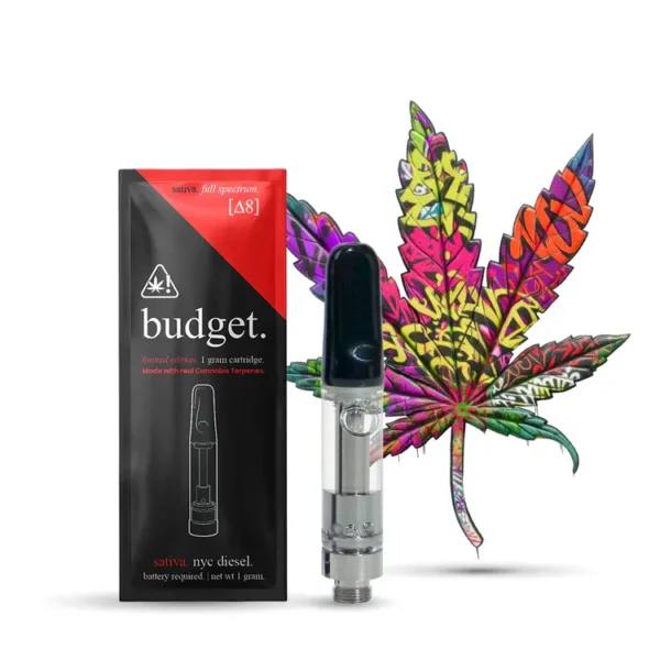 Budget Disposable