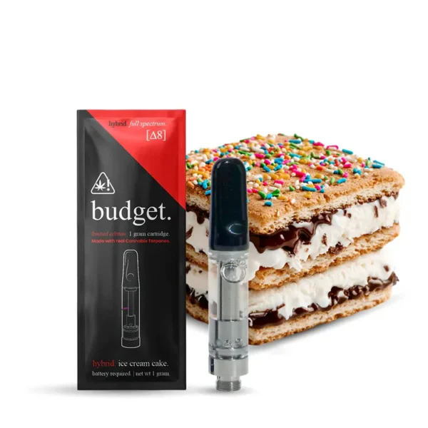 Budget Disposable