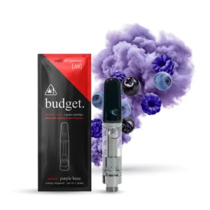 Budget Disposable