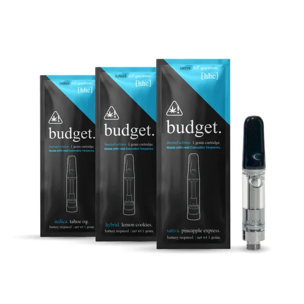 Budget Disposable