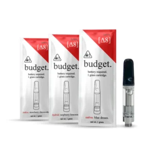Budget Disposable