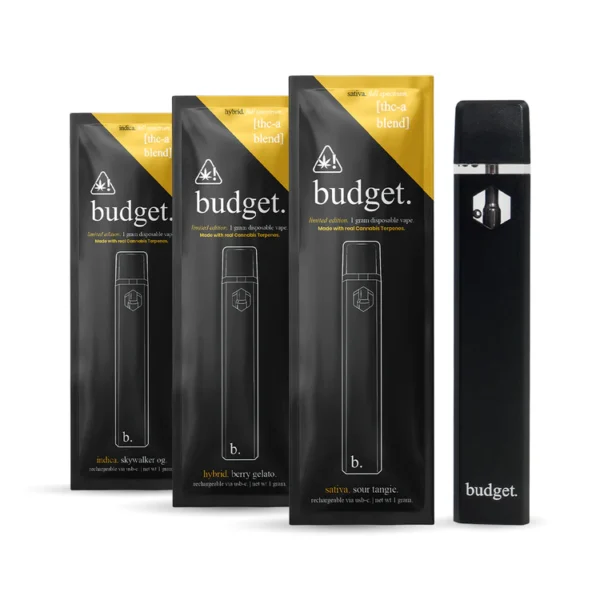 Budget Disposable