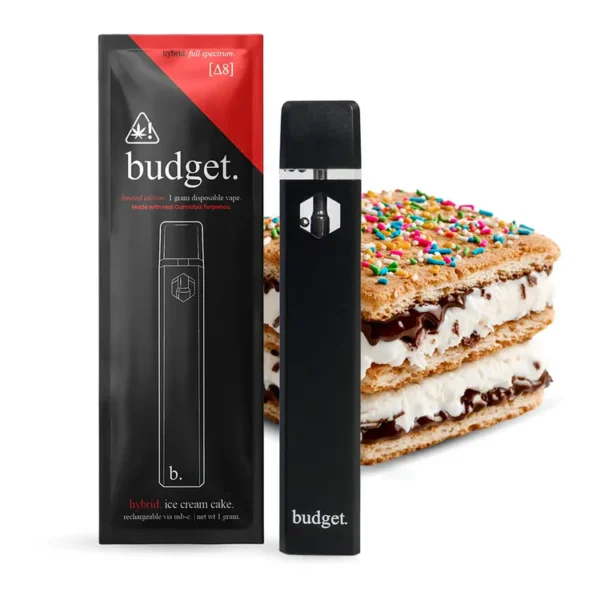 Budget Disposable