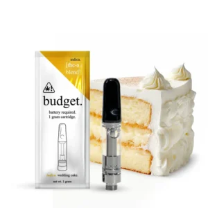 Budget Disposable