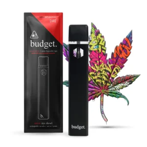 Budget Disposable