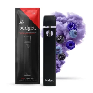 Budget Disposable