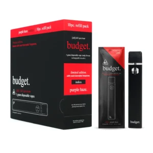 Budget Disposable