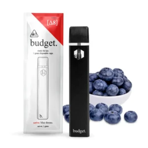 Budget Disposable