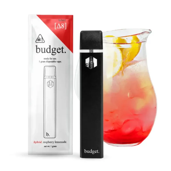 Budget Disposable