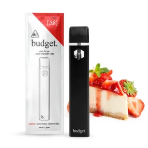 Budget Disposable