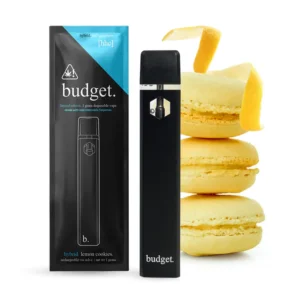 Budget Disposable