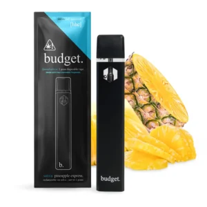 Budget Disposable
