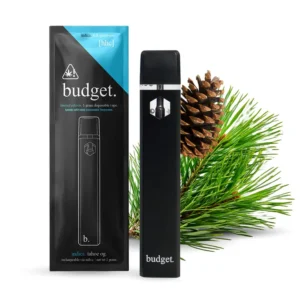 Budget Disposable