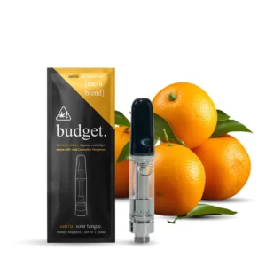 Budget Disposable