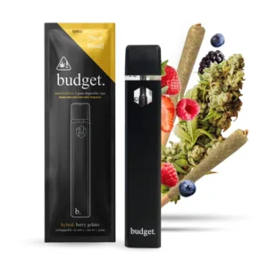 Budget Disposable