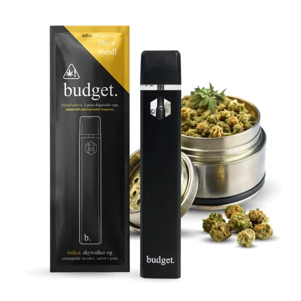 Budget Disposable