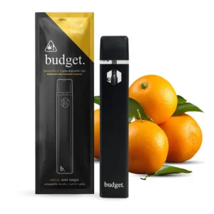 Budget Disposable