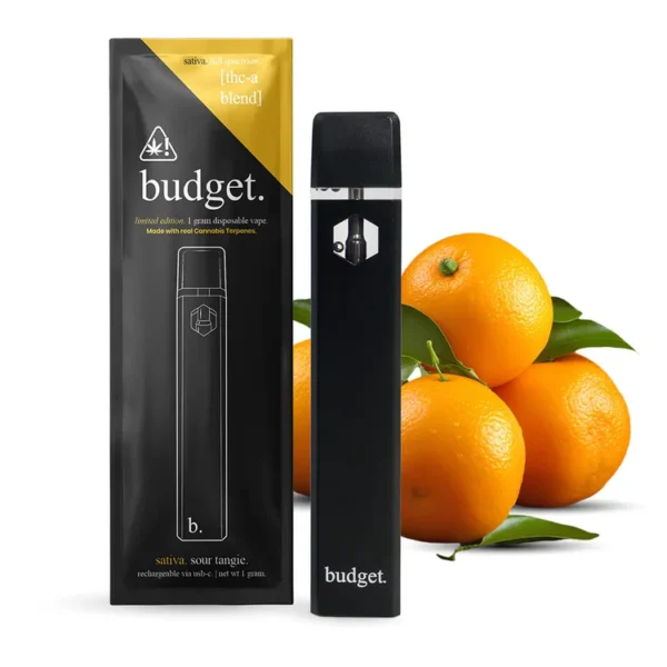 Budget Disposable