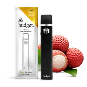Budget Disposable