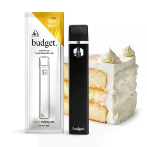 Budget Disposable
