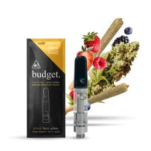 Budget Disposable