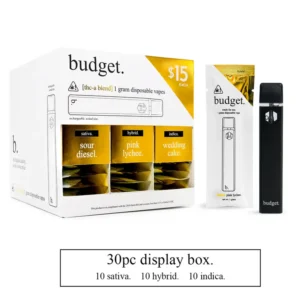Budget Disposable
