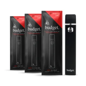 Budget Disposable