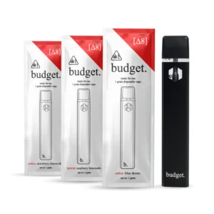 Budget Disposable