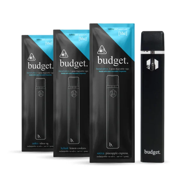 Budget Disposable
