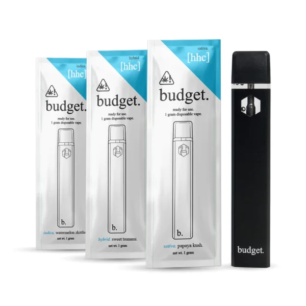 Budget Disposable