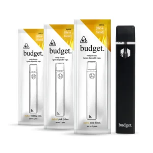 Budget Disposable