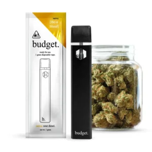 Budget Disposable